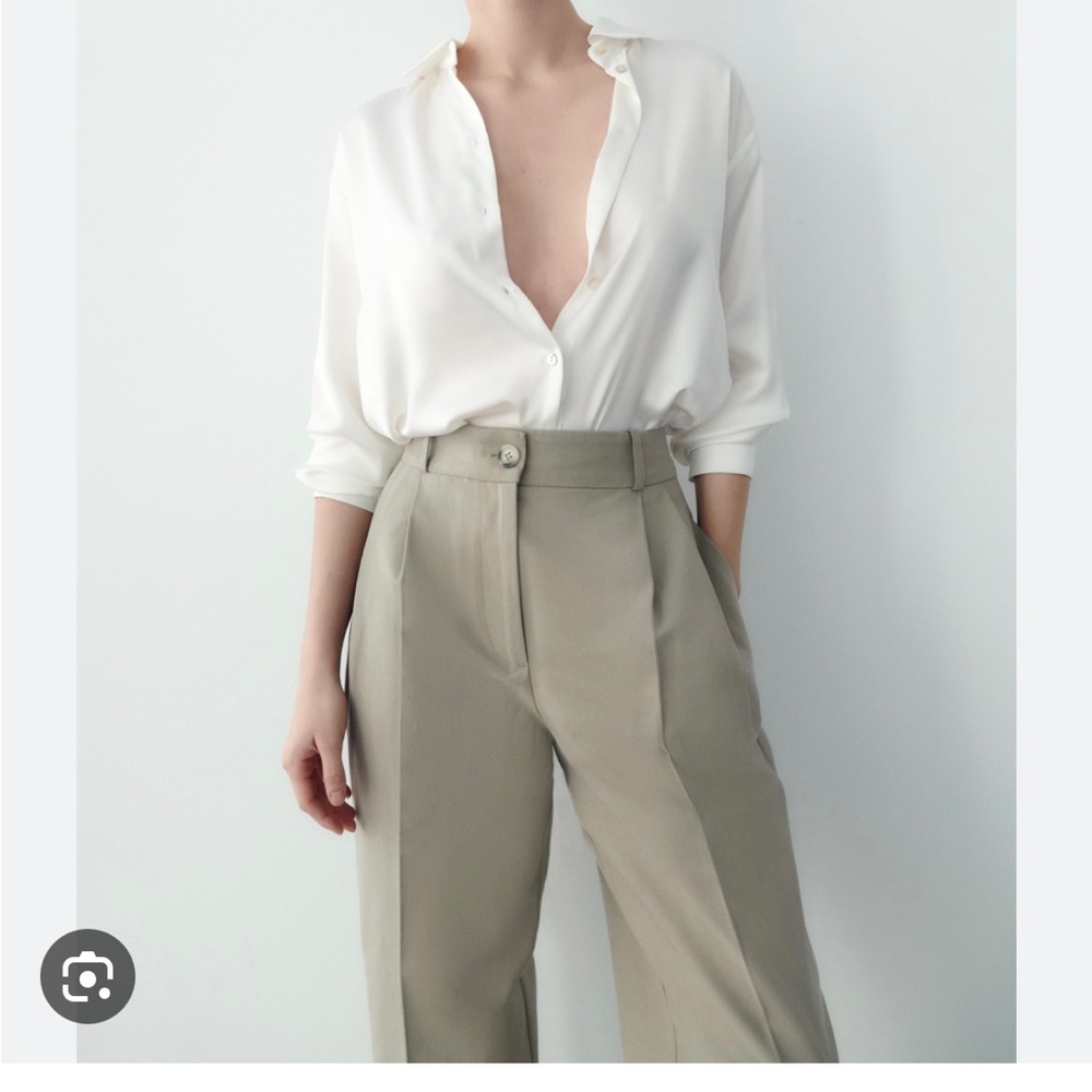 NWT Zara Pleated Tapered Pant - Stone